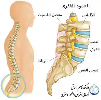 القرص القطني وطرق جديدة لعلاج القرص القطني