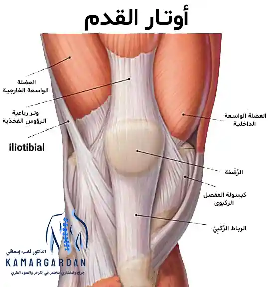 أحدث التمارين المفيدة لتقوية الركبة
