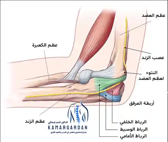 آلام المرفق وطرق علاج آلام المرفق