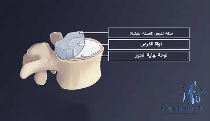 القرص الفقرية